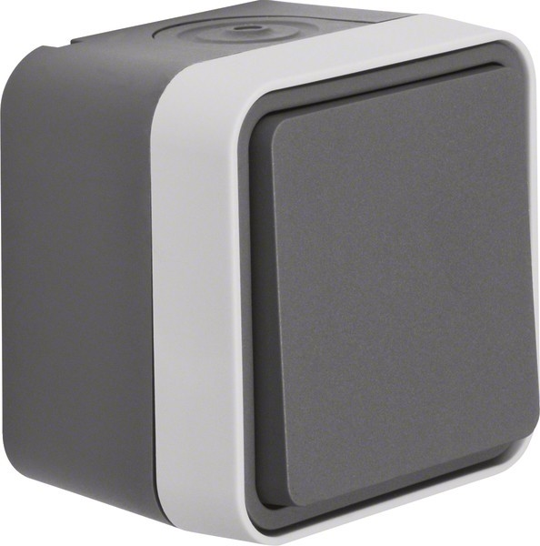 Berker Wechselschalter 30763505 Image