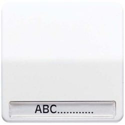 Jung Wippe Schriftfeld aws CD 590 NA WW CD590NAWW Image