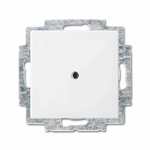 Busch-Jaeger BUSCH-BALANCE SI Tragring, Blindabdeckung, alpinweiß, glänzend, Krallen-/Schraubbefestigung, ohne Beschriftungsfeld Image