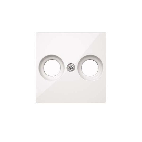 Merten Zentralplatte pws/gl MEG4122-0319 Image