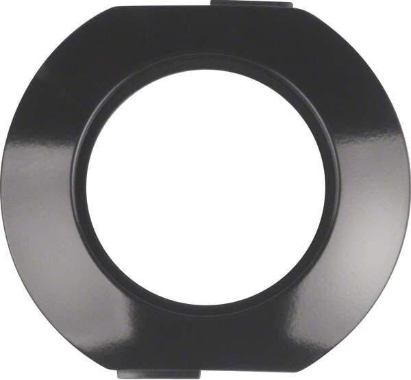 Berker Kombirahmen sw/gl 138151 Image