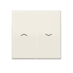 Jung Wippe Symbole ws AS 591-5 P AS591-5P Image