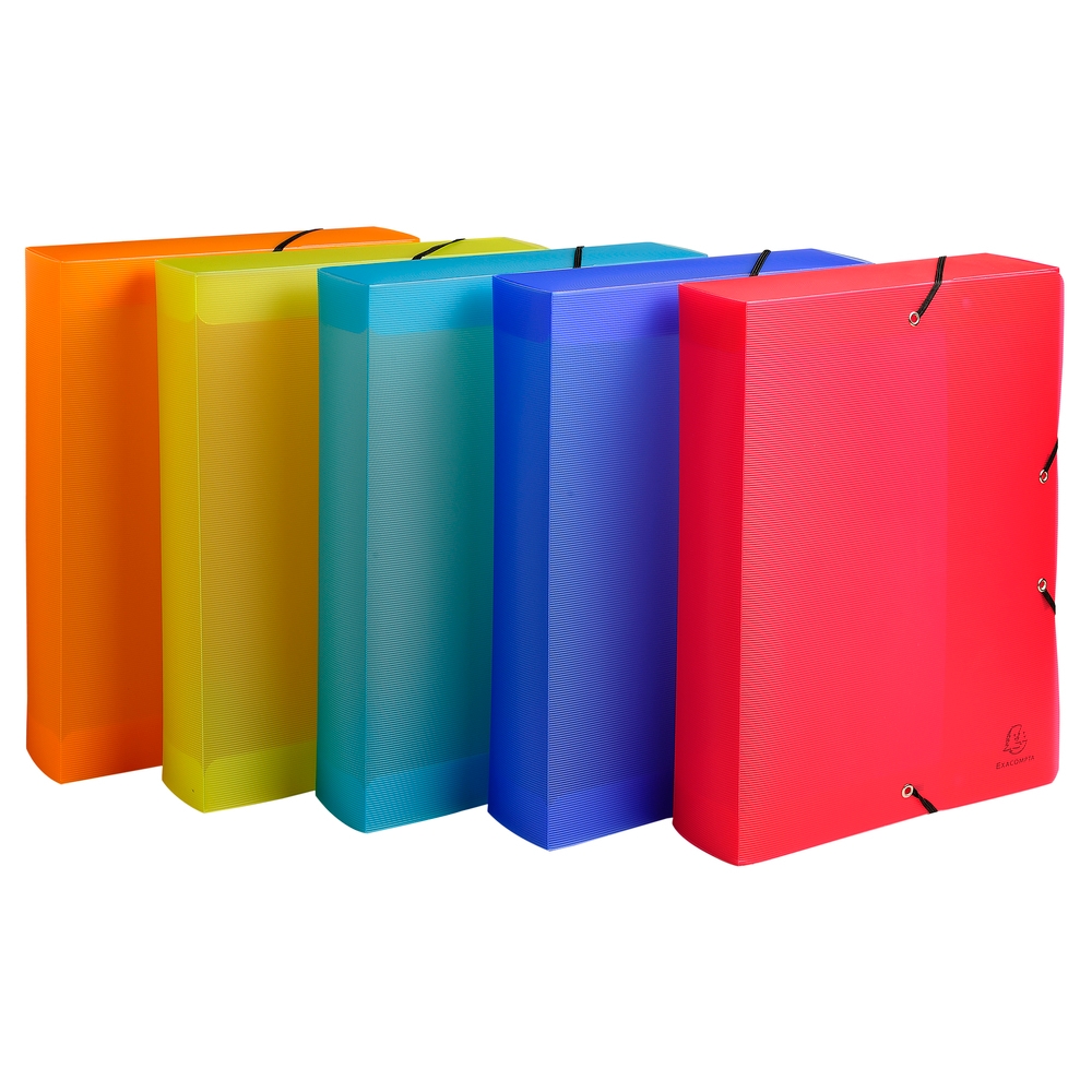 Exacompta Archivbox aus PP 800µ, Rücken 60mm, 25x33cm für DIN A4 - Linicolor Image