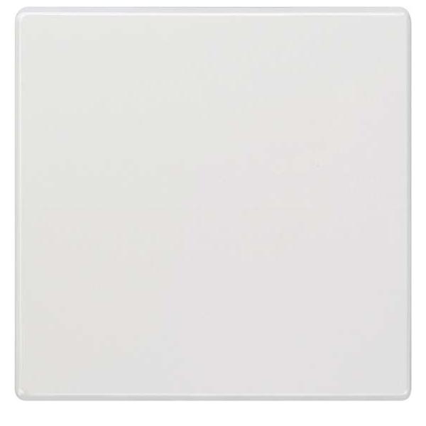 Siemens Dig.Industr. style Wippe 5TG7141 Image