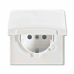 Busch-Jaeger Allwetter 44 Steckdose, 1f, alpinweiß, glänzend, Unterputz, mit erhöhtem Berührungsschutz, horizontal/vertikal, mit Klappdeckel, IP44 Image