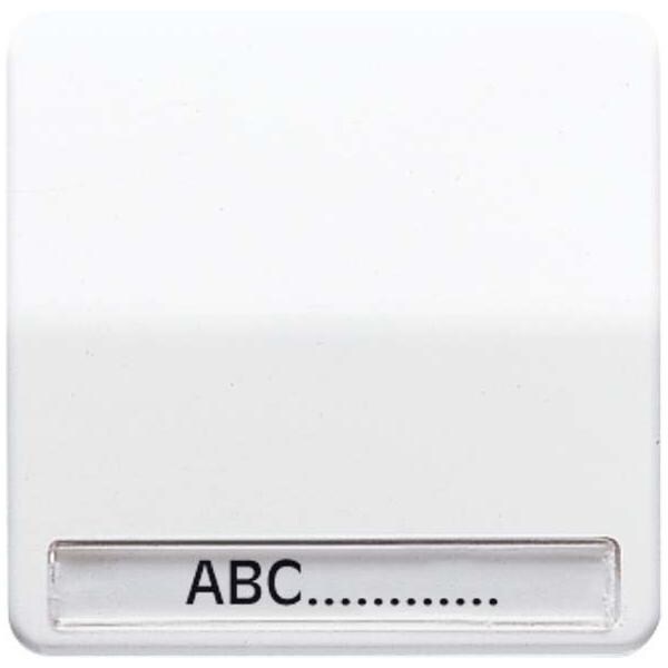 Jung Wippe Schriftfeld ws CD 590 NA CD590NA Image