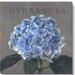 Darren Gygi Home Collection Hydrangea Giclee Wall Art by Darren Gygi - Wrapped Canvas Print Canvas | 5 H x 5 W x 68 D in | Wayfair 128-Z-0505