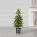 Sand & Stable™ Green Realistic Artificial Pine Christmas Tree w/ Lights in Green/White | 26 W x 26 D in | Wayfair A784507EE2B944B89DCEDFA1A1147B85