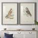 Loon Peak® Hawk Owl Premium Framed Matte - Ready To Hang Paper, Solid Wood in Black/Blue/Green | 20 H x 17 W x 1 D in | Wayfair