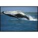 East Urban Home 'Humpback Whale Breaching, Kaikoura, New Zealand' Photographic Print, Wood in Blue | 22" H x 30" W x 1.5" D | Wayfair