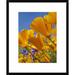 East Urban Home 'California Poppy Flowers, Antelope Valley, California ' Framed Photographic Print on Canvas in Blue/Yellow | Wayfair