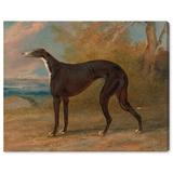 Oliver Gal Black & White Grayhound by George Garrard - Painting on Canvas in Blue/Brown/Yellow | 17 H x 20 W x 1.5 D in | Wayfair