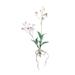 Primrue Dendrobium Orchid Stems Silk/Polyester/Faux Silk/Fabric in Pink | 14.57 H x 5.51 W x 14.57 D in | Wayfair F6013F1CA74B44D3B8CB24C60B8670DC