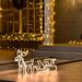 The Holiday Aisle® Reindeer & Sleigh Elk Lighted Display Plastic in White | 17.75 H x 17.75 W x 9.5 D in | Wayfair 8A2B5BF44BF34F3FA11CB5897FA391FD