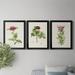 Red Barrel Studio® Pretty Pink Botanicals II Premium Framed Print - Ready To Hang Canvas, in Black/Blue/Green | 36.5 H x 79.5 W x 1 D in | Wayfair
