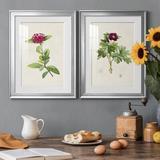 Red Barrel Studio® Pretty Pink Botanicals II Premium Framed Print - Ready To Hang Paper, Bamboo in Black/Blue/Green | 42.5 H x 61 W x 1 D in | Wayfair