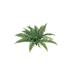 Primrue Realistic Boston Fern X77 82" Diameter Silk/Plastic | 18 H x 28 W x 3 D in | Wayfair 44DB0D8AE69F468E8F63240EFA7395FE