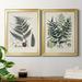 Bayou Breeze Collected Ferns VI Premium Framed Print - Ready To Hang Canvas, Bamboo in Black/Blue/Green | 36.5 H x 26.5 W x 1.25 D in | Wayfair