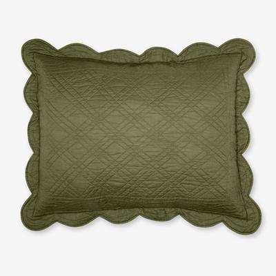 Florence Sham by BrylaneHome in Green (Size STAND) Pillow