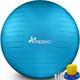 Tresko - Ballon Fitness Yoga Balle d'Exercice Antidérapant Balle Gymnastique avec Pompe 300 kg avec