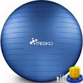 Tresko - Ballon de Gymnastique Anti-éclatement Boule d'assise Balle de Yoga Balles d'exercices