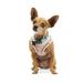 The Classic Pink Small Dog Harness, XX-Small/X-Small