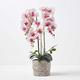 HOMESCAPES Artificial Pink and White Orchid in Pot 64 cm Tall Lifelike Faux Orchid Plant In Grey Cement Pot Real Touch Silk Flowers and Green Leaves Phalaenopsis Orchid Flower for Indoor Decoration