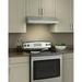 Broan NuTone 42" Glacier 250 CFM Convertible Under Cabinet Range Hood, Stainless Steel in Gray | 6 H x 42 W x 19.63 D in | Wayfair BCSD142SS