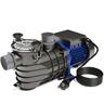 Pompa piscina per ricircolo e filtraggio 10800 L/h 180 w Pompa di circolazione