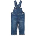 Levi's Kids Baby Boys' LVN Denim Shortall Dungrees, Melbourne, 12 Months