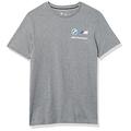 PUMA Men's BMW MMS Essentials Small Logo Tee T-Shirt, Medium Gray Heather, X-Large