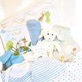 Newborn Baby Boy Gifts Let The Adventure Begin 11 Piece New Baby Gift Hamper New Baby Essentials Clothes, Socks, Toy, Plaque, Baby Moment Cards Baby Shower Present Mum to Be Gift Bunny (Boy)