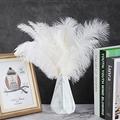 Sucpur 30Pcs 15.7-17.7inch Long White Ostrich Feather Plumes Natural Ostrich Feathers for DIY Crafts Home Wedding Party Office Decoration