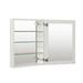 Latitude Run® Adine 19-In X 30-In Aluminum Mirrored Bathroom Medicine Cabinet w/ Adjustable Glass Shelves In Satin in Gray | Wayfair