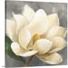 Red Barrel Studio® Magnolia Blossom On Gray Canvas Wall Art Canvas | 30 H x 30 W x 1.25 D in | Wayfair 308487AD05ED4E08BCFEEAD32D5366DD