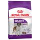15kg Giant Adult Royal Canin Dry Dog Food