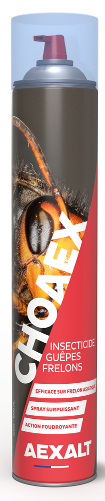 Insecticide anti guêpes frelons Choaex aérosol de 1000 ml AEXALT IC075