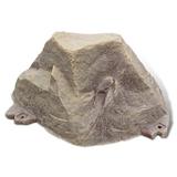Millwood Pines Osterberg Rock Cover Statue Garden Stone Resin/Plastic in Gray | 12.5 H x 12 W x 24 D in | Wayfair 9DFF99BFA62A4849B14DD47C760E4843