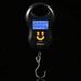 Fosa Electronic Scale,Portable 50kg/10g LCD Digital Hanging Weight Electronic Luggage Hook Scale, Digital LCD Luggage Scale