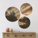 East Urban Home Designart 'Sunset Over Rydal Waters' Landscape Wood Wall Art Set Of 3 Circles Wood in Blue/Brown | 34 H x 44 W x 1 D in | Wayfair