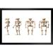 Trinx Male Human Skeleton Front Back Side Views Anatomy Medical Chart Black Wood Framed Poster 20X14 Paper | 14 H x 20 W x 1.5 D in | Wayfair