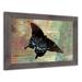 Rosalind Wheeler Large Butterflies Framed Print Plastic/Acrylic in Black/Brown/Green | 16 H x 20 W x 0.75 D in | Wayfair
