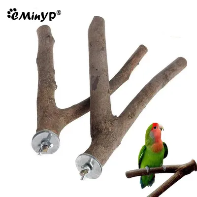 Perche en bois naturel pour oiseaux branches de perroquet fourchette supports jouets pour
