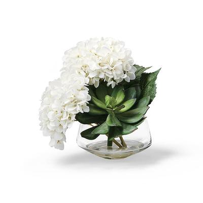 Hydrangea Succulent Arrangement - Cream - Frontgate