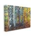 Stupell Industries Cluster Of Birch Trees In Yellow Autumn Forest by - Graphic Art Canvas in White | 36 H x 48 W x 2 D in | Wayfair ae-932_cn_36x48