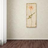 Charlton Home® Vivi 'Pale Rose Panel on White Vintage v2' Print on Wrapped Canvas in Green | 19 H x 8 W x 2 D in | Wayfair