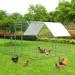 Tucker Murphy Pet™ Adriell Walk In Chicken Run Metal | 79 H x 118 W x 121 D in | Wayfair BF5B163C719E4A67AF1EC1954EFEF0BD