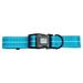 Neon Blue Reflective Dog Collar, X-Small