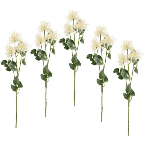 I.GE.A. Kunstblume Spinnenprotea, (5 St.), 5er Set weiß Künstliche Zimmerpflanzen Kunstpflanzen Wohnaccessoires