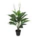 Primrue Artificial Peace Lily Plant in Pot Plastic in Black | 30 H x 22 W x 22 D in | Wayfair AE7FBA6C1F0449098B26860A715175FD